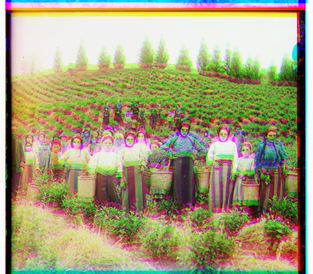 Harvesters aligned with no border margin: severe ghosting