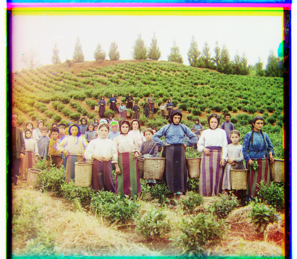 Harvesters aligned with a 10% margin